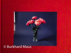 Martin Essl, © Burkhard Maus