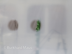 Skulptur Projekte Münster 2017, © Burkhard Maus