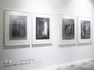Patrick Bailly-Maître-Grand "Les paradoxes de la substance" (détail) , Galerie Baudoin Lebon, Paris Photo 2016, Paris