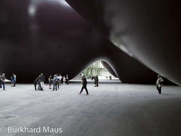 Anish Kapoor, "Leviathan", Monumenta 2011, (détail), Grand Palais, Paris
