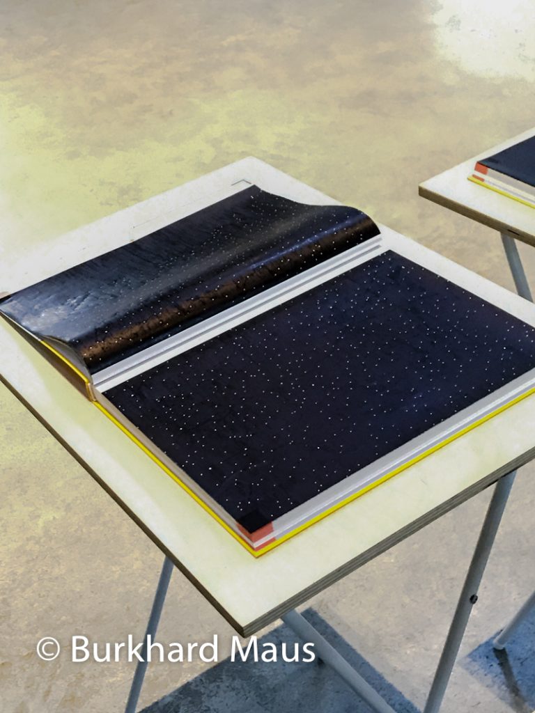 Kathy Prendergast, "Atlas" (détail), Kunst-Station Sankt Peter Köln