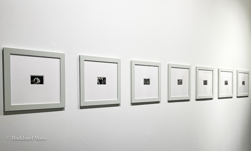 Tarrah Krajnak, "Black Messengers", Galerie Thomas Zander, Paris Photo, Grand Palais Éphémère, Paris