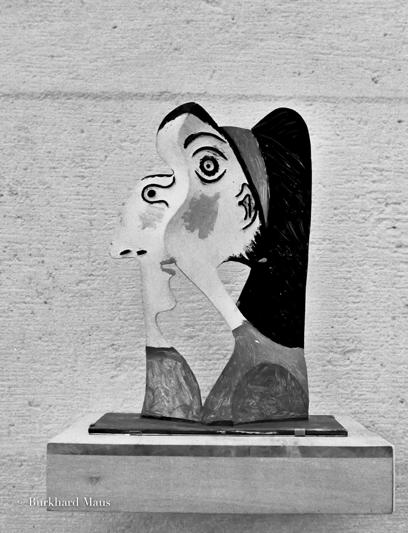 Musée national Picasso-Paris, Paris