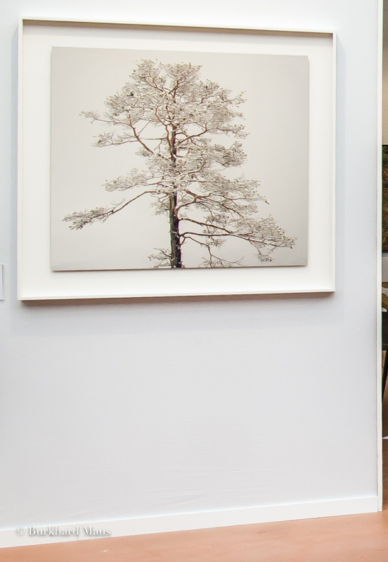 Michael Schnabel, "Seekiefer", Galerie Esther Woerdehoff, Paris Photo 2024, Paris