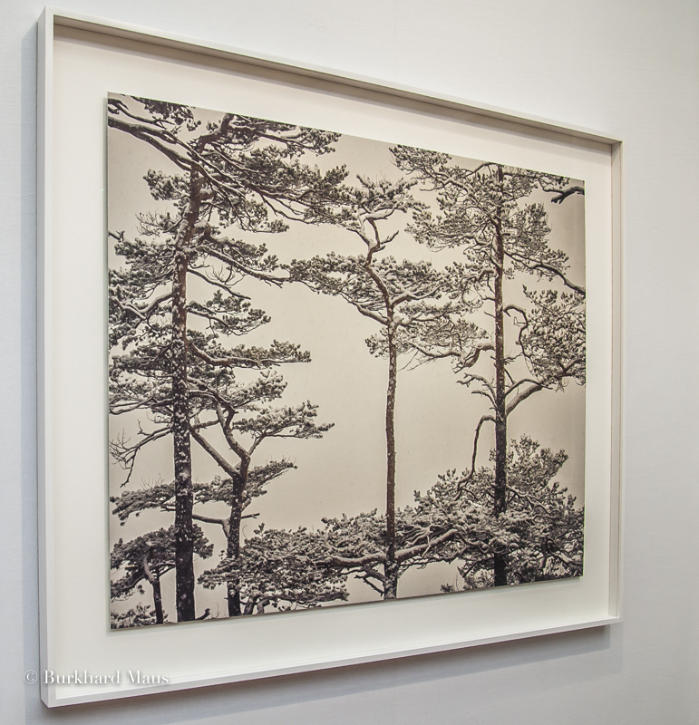 Michael Schnabel, "Kiefer 2 / Manzengrat" Galerie Esther Woerdehoff, Paris Photo 2024, Paris