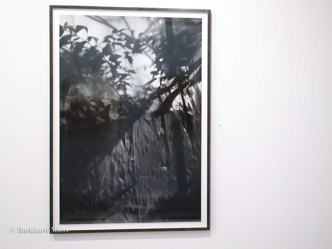 Berit Schneidereit, " Nouvell Photographie de Düsseldorf", RX Galerie, Paris