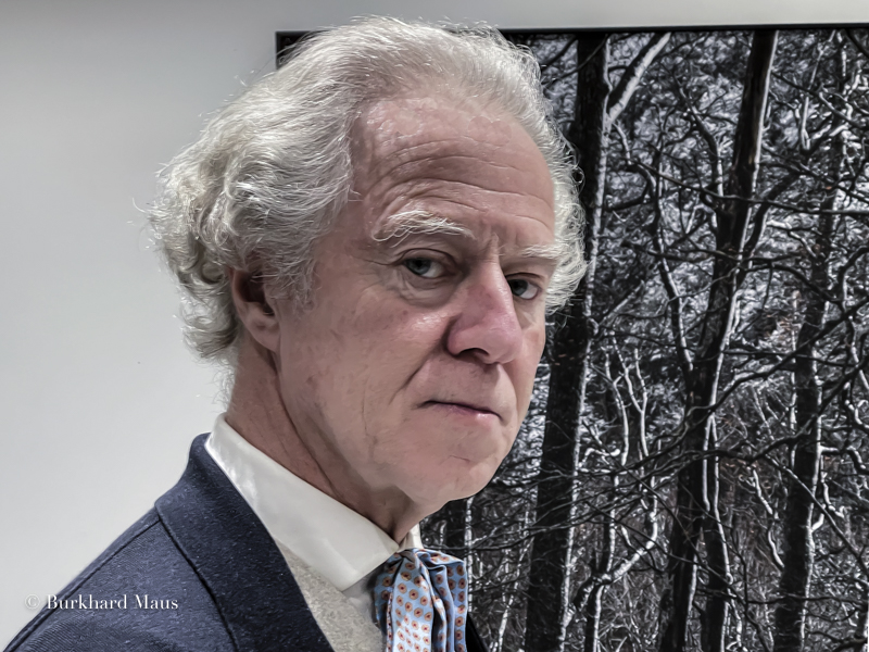 Didier Goupy, Galerie Esther Woerdehoff, Genève