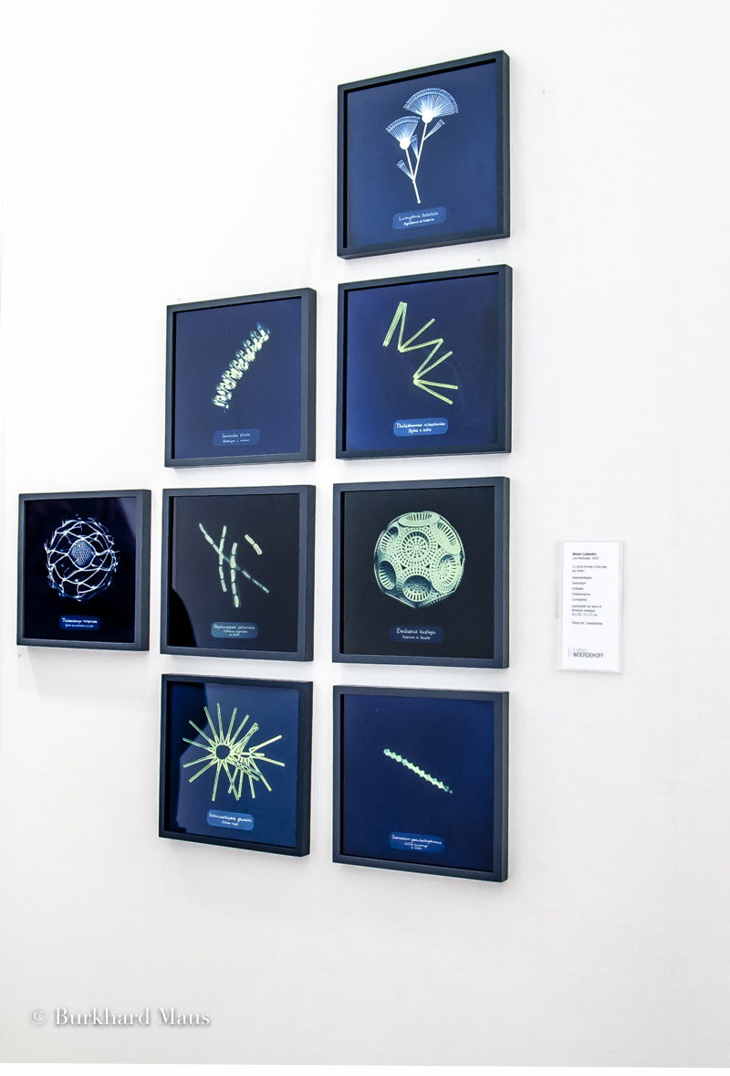 Manon Lanjouère, Galerie Esther Woerdehoff, Paris Photo 2024, Paris