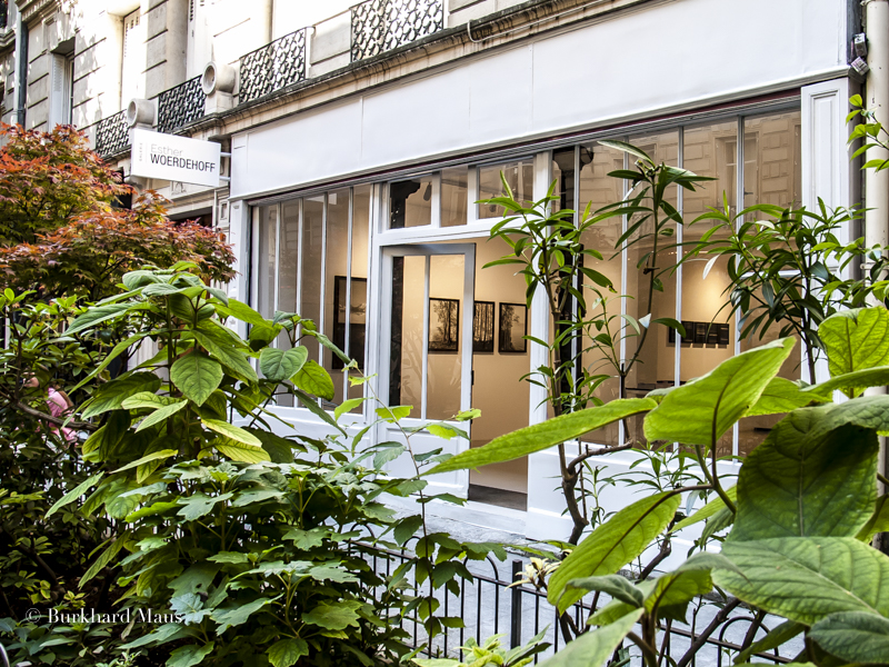 Galerie Esther Woerdehoff, Paris