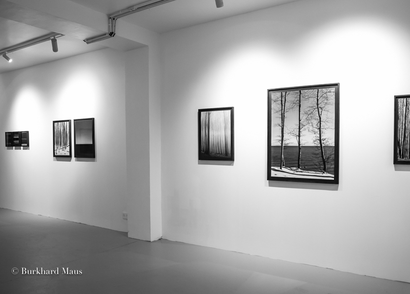 Loredana Nemes, "Tomber dans le maintenant" (détail), Galerie Esther Woerdehoff, Paris