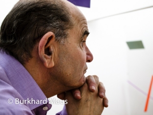 Joel Shapiro, Burkhard Maus